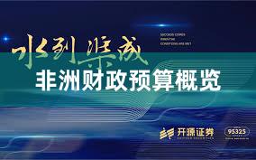 非洲财政预算概览